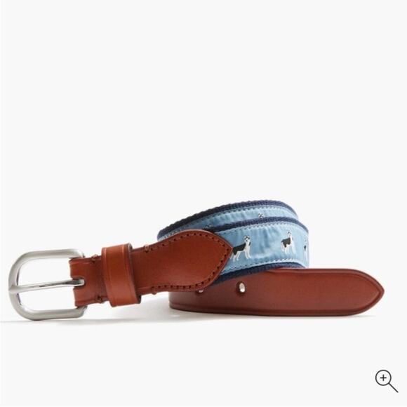 J. crew Crewcuts Boys' Frosted Turdra Husky critter belt - Picture 5 of 8